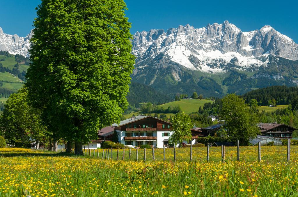 Apartments Foidl Kitzbühel Kültér fotó